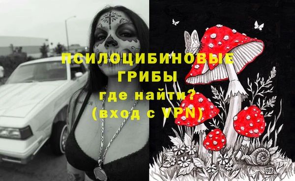 МДПВ Алексин